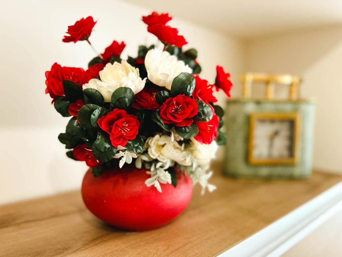 Old Town Luxury Suites Belgrado Esterno foto