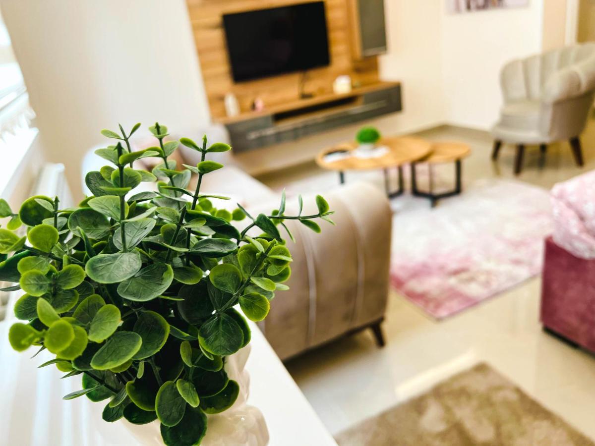 Old Town Luxury Suites Belgrado Esterno foto